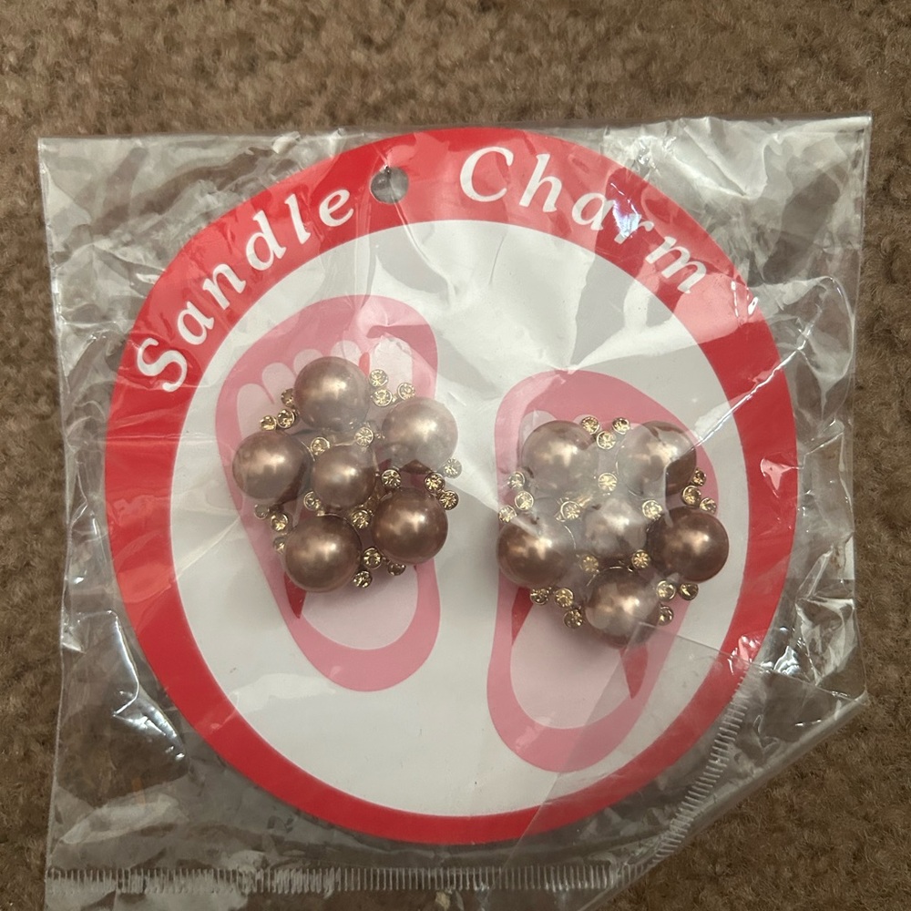 Gold and Brown Earrings